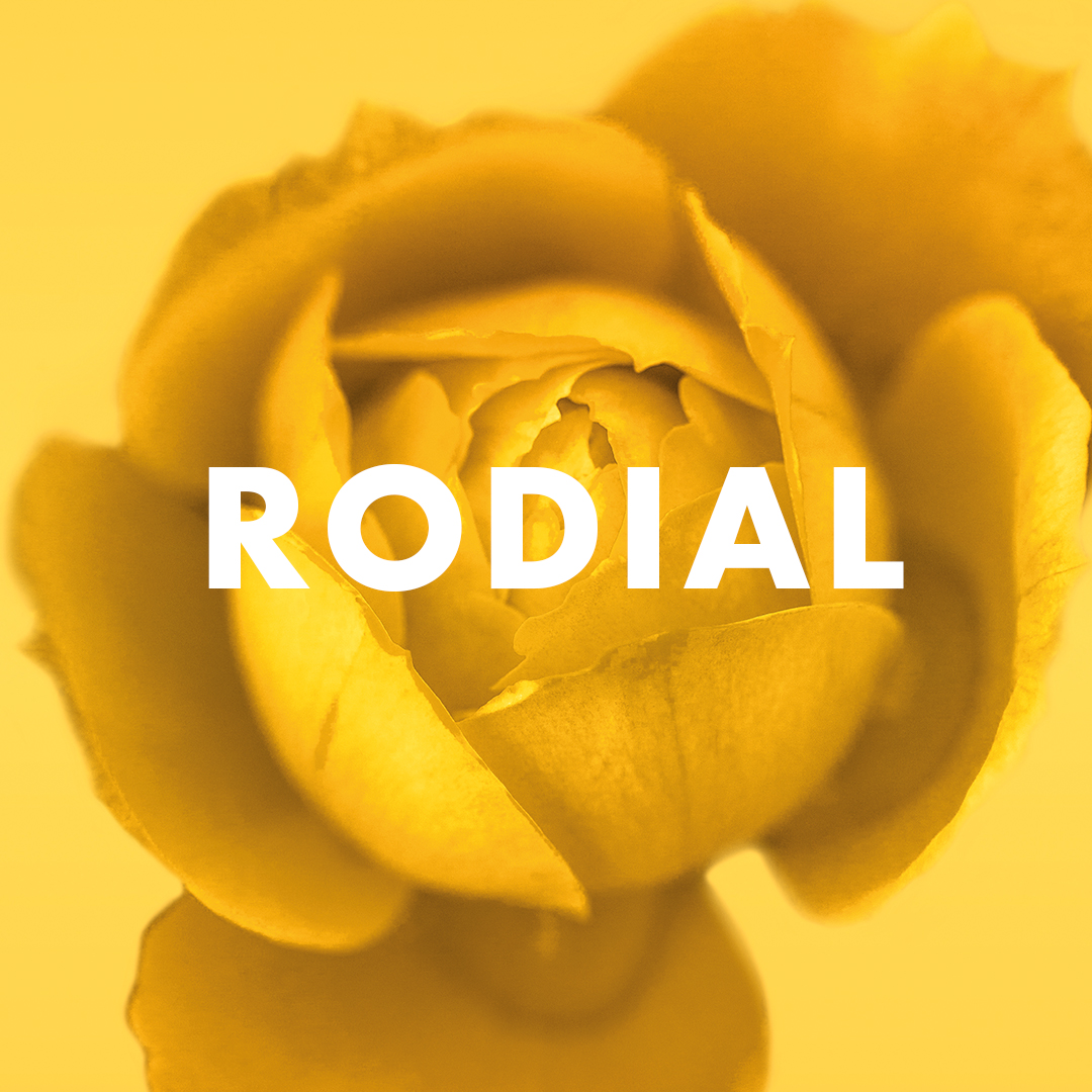 2018MCH0536---Banners---Make-up-in-bloom-Social-banner_Instagram-1080x1080-rodial