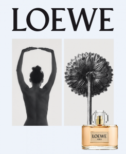 LOEWE_Aura