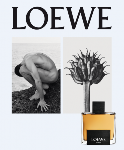 LOEWE_Solo