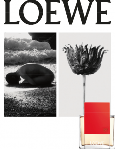 LOEWE_Solo Ella