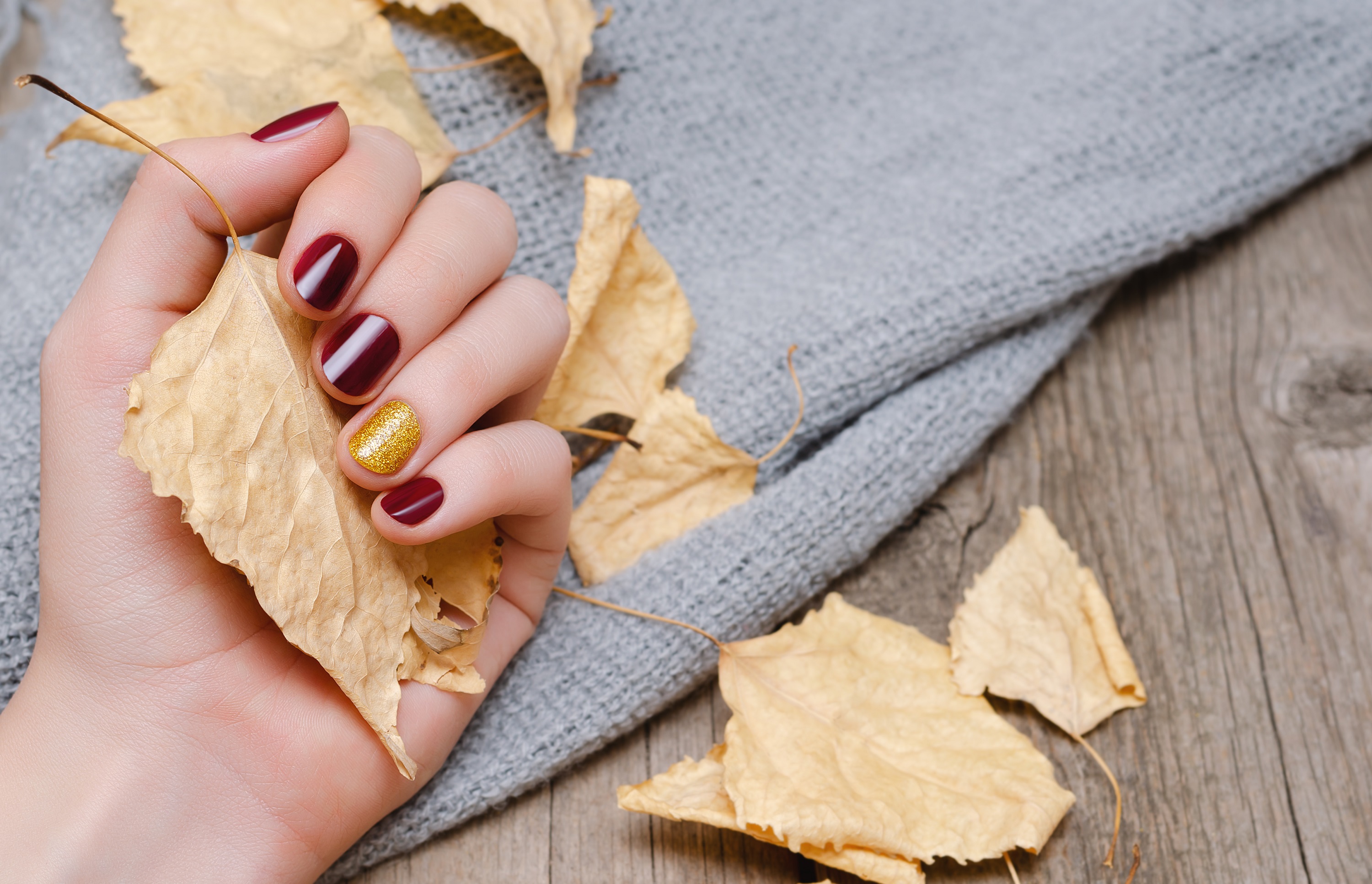 Female hand with dark red nail design holding yellow leaves.