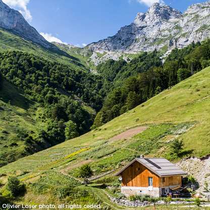 Eine Berglandschaft in der Schweiz mit einer Hütte ist zu sehen. Hier werden die natürlichen Inhaltsstoffe der neuen Reinigungslinie von Clarins nachhaltig kultiviert.