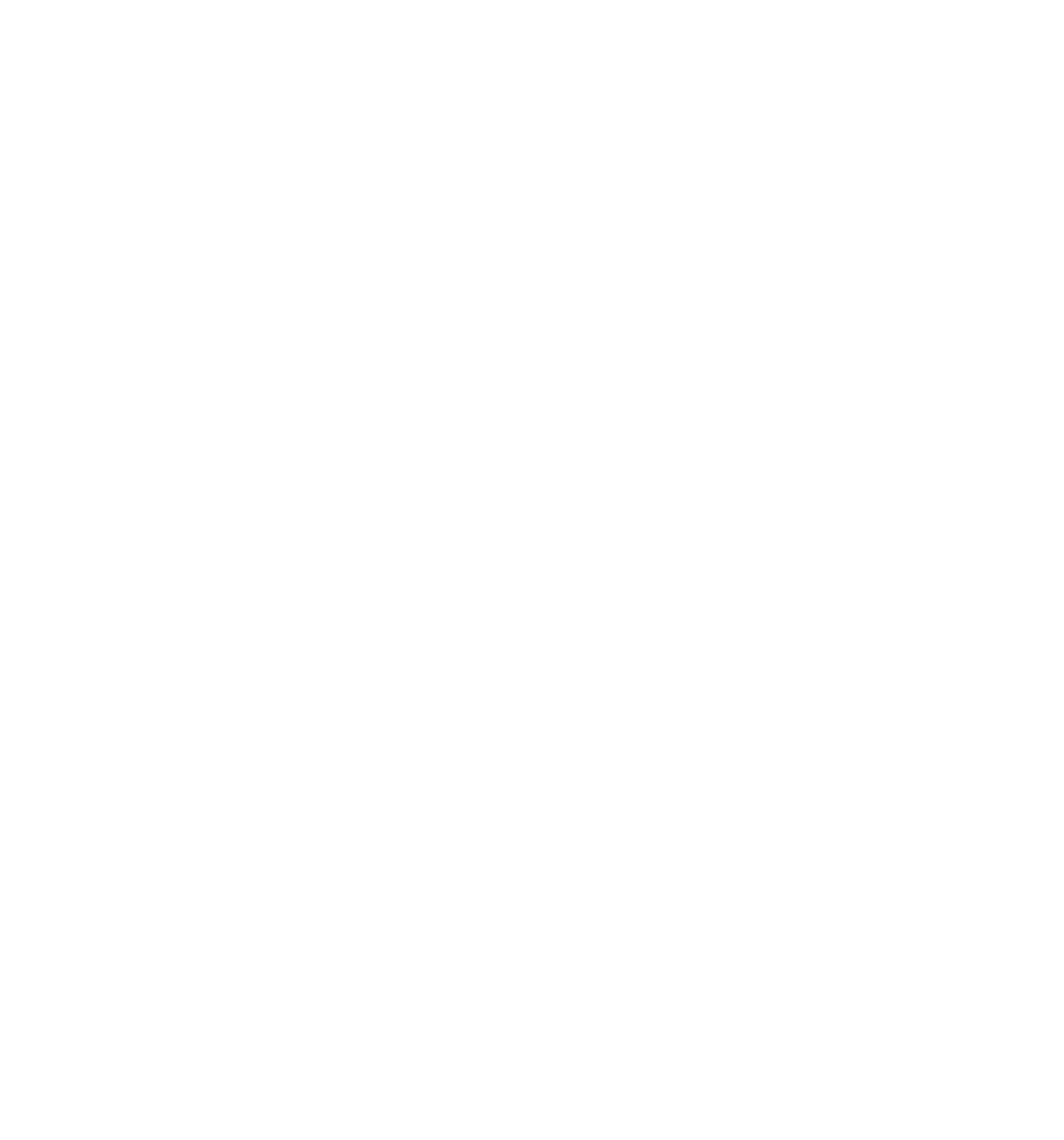 Secure Delivery Icon