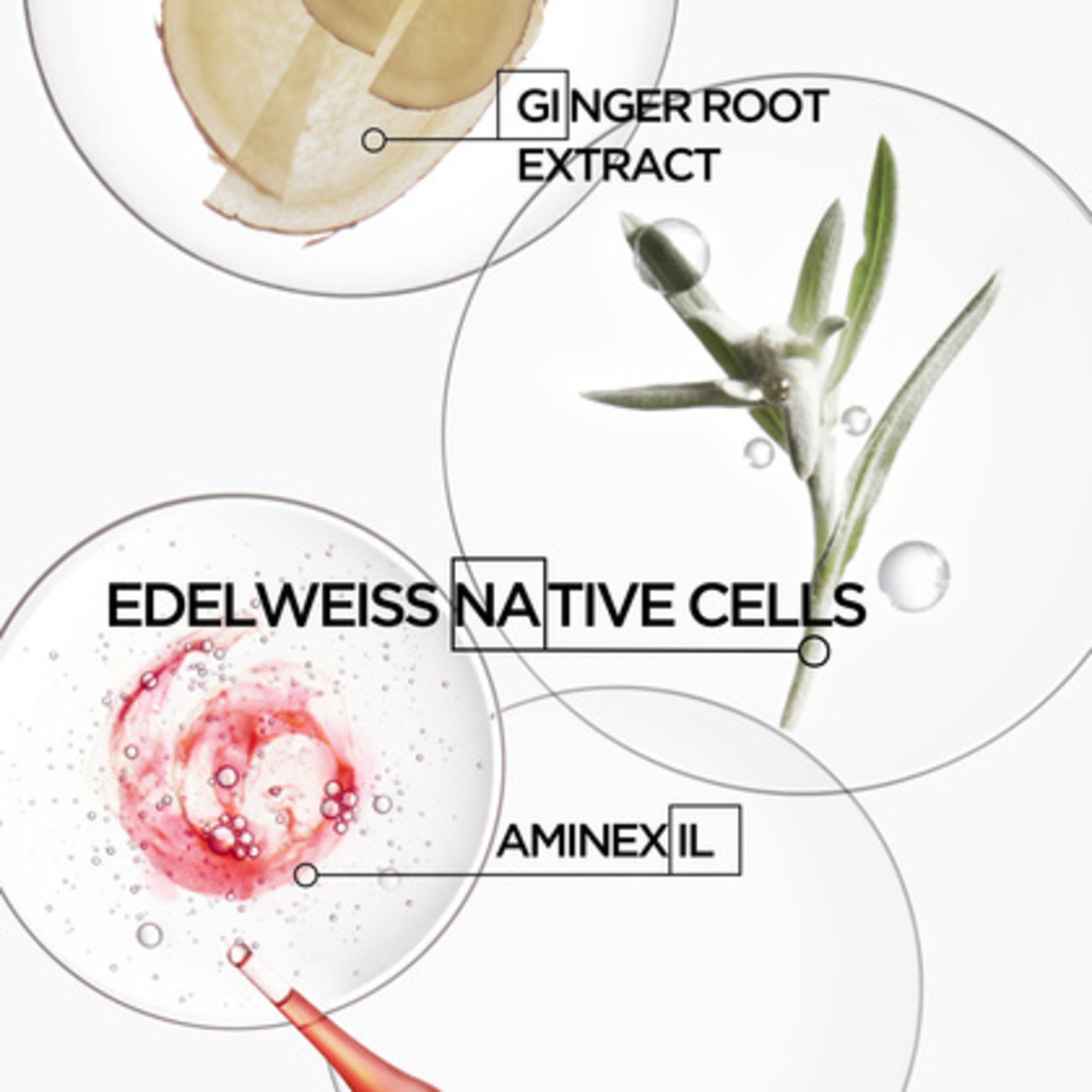 Kräftigendes Shampoo für kräftiges und trockenes Haar, bei Haarverlust und Haarbruch