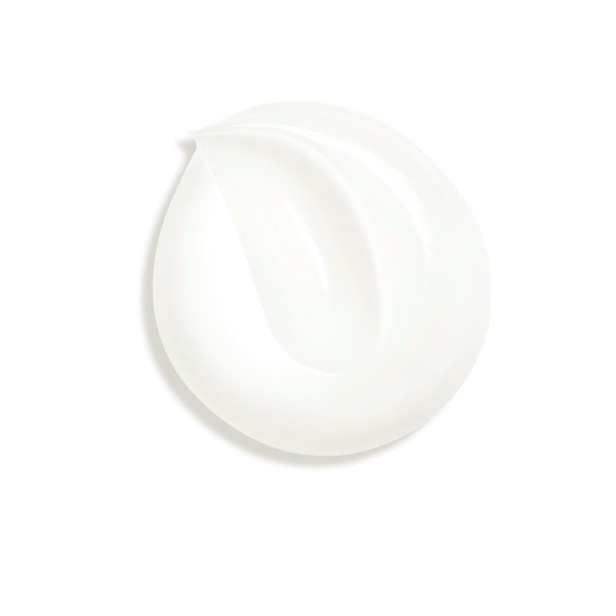 Crème au Camelia Rouge - Recharge