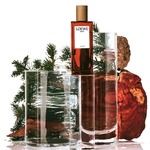 50 ML Loewe Solo Loewe Cedro Eau de Toilette  2 of 3 Eau de Toilette