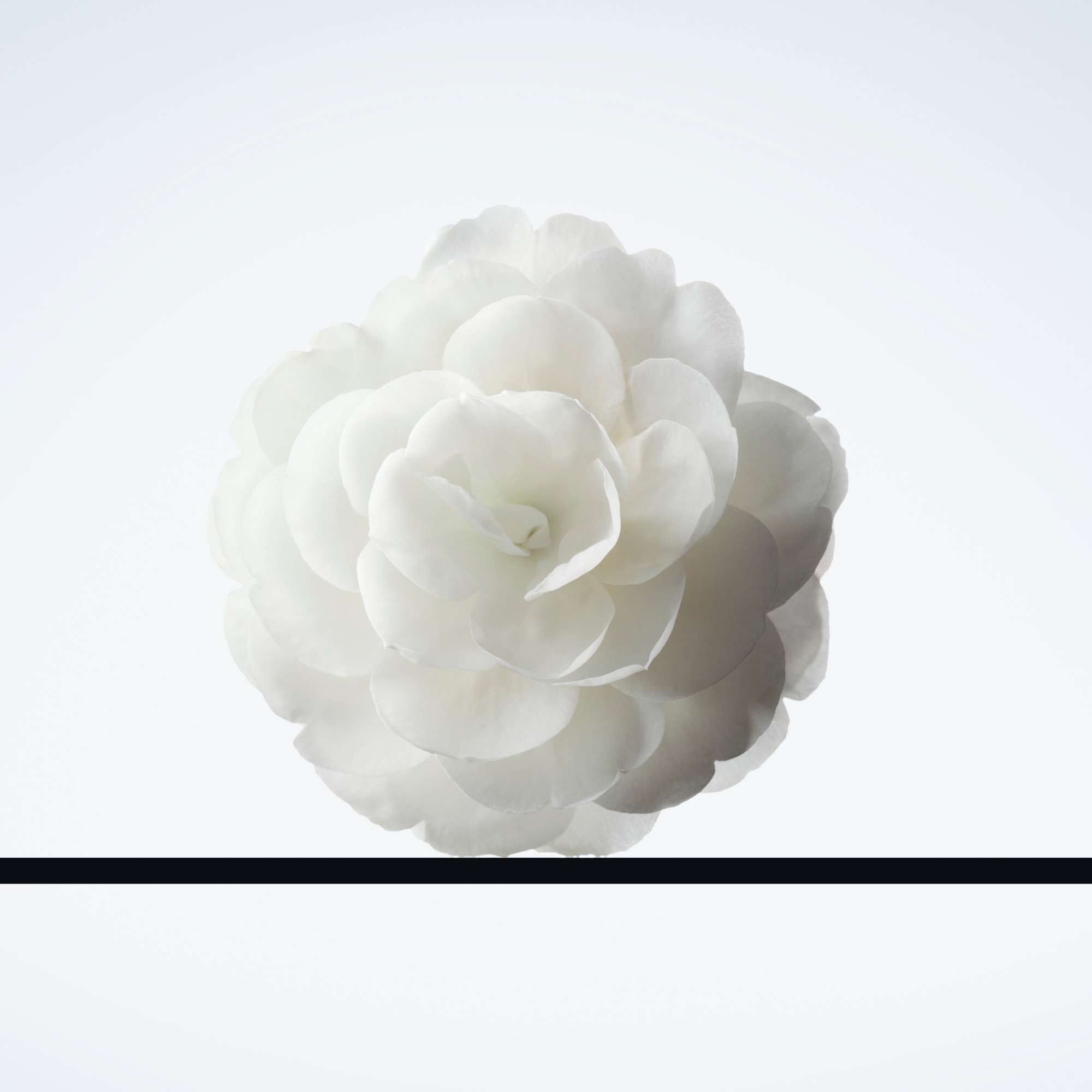 100 ML CHANEL DÉMAQUILLANTS D�maquillant  7 of 7 D�maquillant