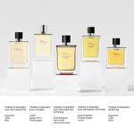100 ML Hermès Terre d'Hermès Eau de Parfum Intense 6 of 6 Eau de Parfum Intense