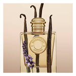 30 ML Burberry Burberry Goddess Eau de Parfum  2 of 3 Eau de Parfum