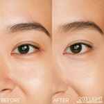 Shiseido Synchro Skin Radiant Lifting Concealer 5 of 7 Concealer