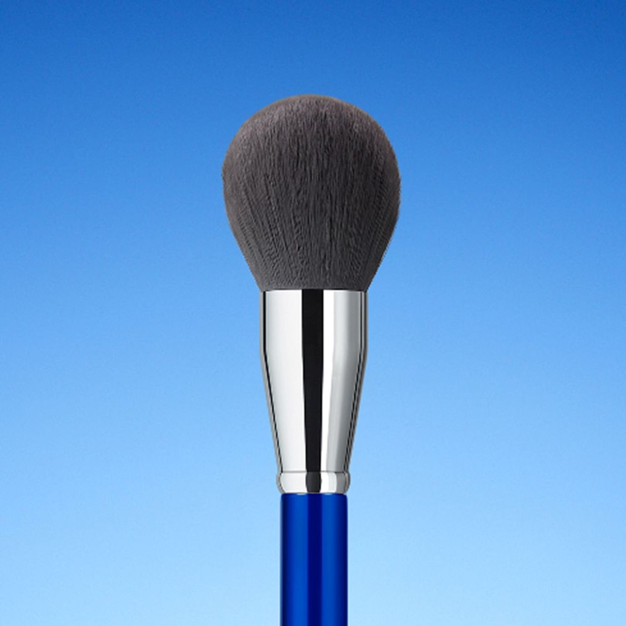 Pinceau Poudre Libre