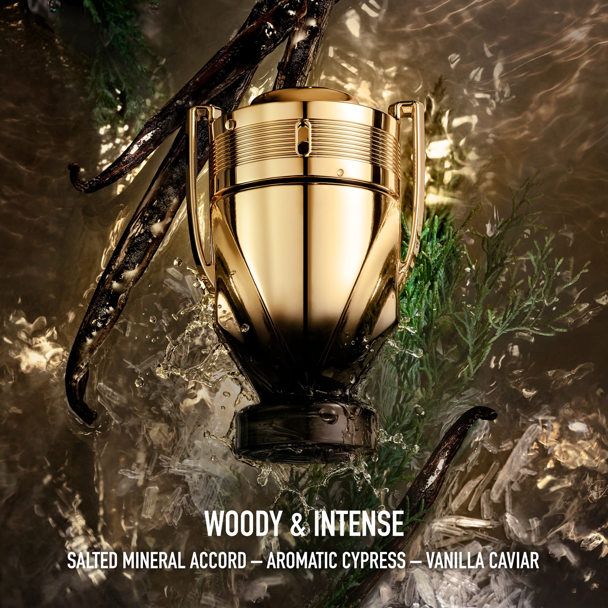 100 ML Rabanne Invictus Elixir Parfum  1 of 7 