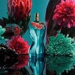 50 ML Jean Paul Gaultier JPG La Belle Paradise Garten Eau de Parfum 5 of 5 Eau de Parfum