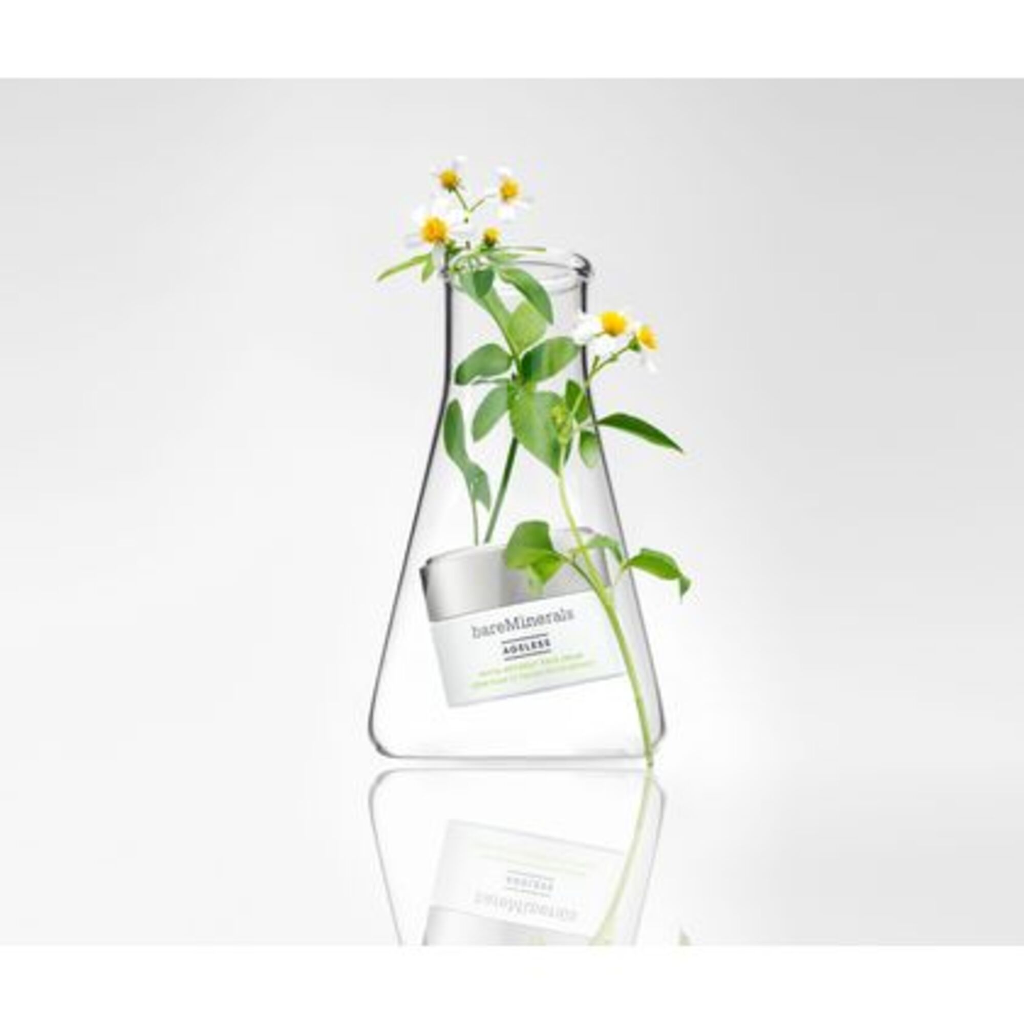 Crème pour le visage