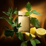 50 ML Dolce&Gabbana The One Gold Eau de Parfum Intense  2 of 7 Eau de Parfum Intense