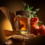 50 ML Dolce&Gabbana the one for Men Eau de Parfum 2 of 6 Eau de Parfum