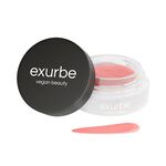 1 PCS EXURBE Pout Perfection Lippenpflege 1 of 1 Lippenpflege