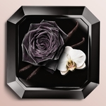 30 ML Lancôme La Nuit Trésor Eau de Parfum  3 of 3 Eau de Parfum