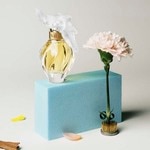50 ML Nina Ricci L'Air du Temps Eau de Toilette 3 of 6 Eau de Toilette