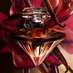 30 ML Lancôme LA NUIT TRESOR VANILLE NOIR EDP Eau de Parfum 4 of 5 Eau de Parfum