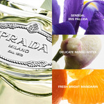 100 ML Prada Infusion d'Iris Eau de Parfum  3 of 3 Eau de Parfum