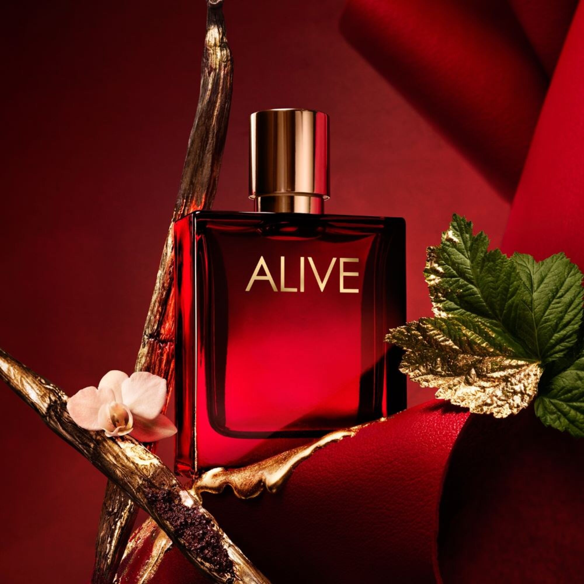 Absolu Parfum Intense