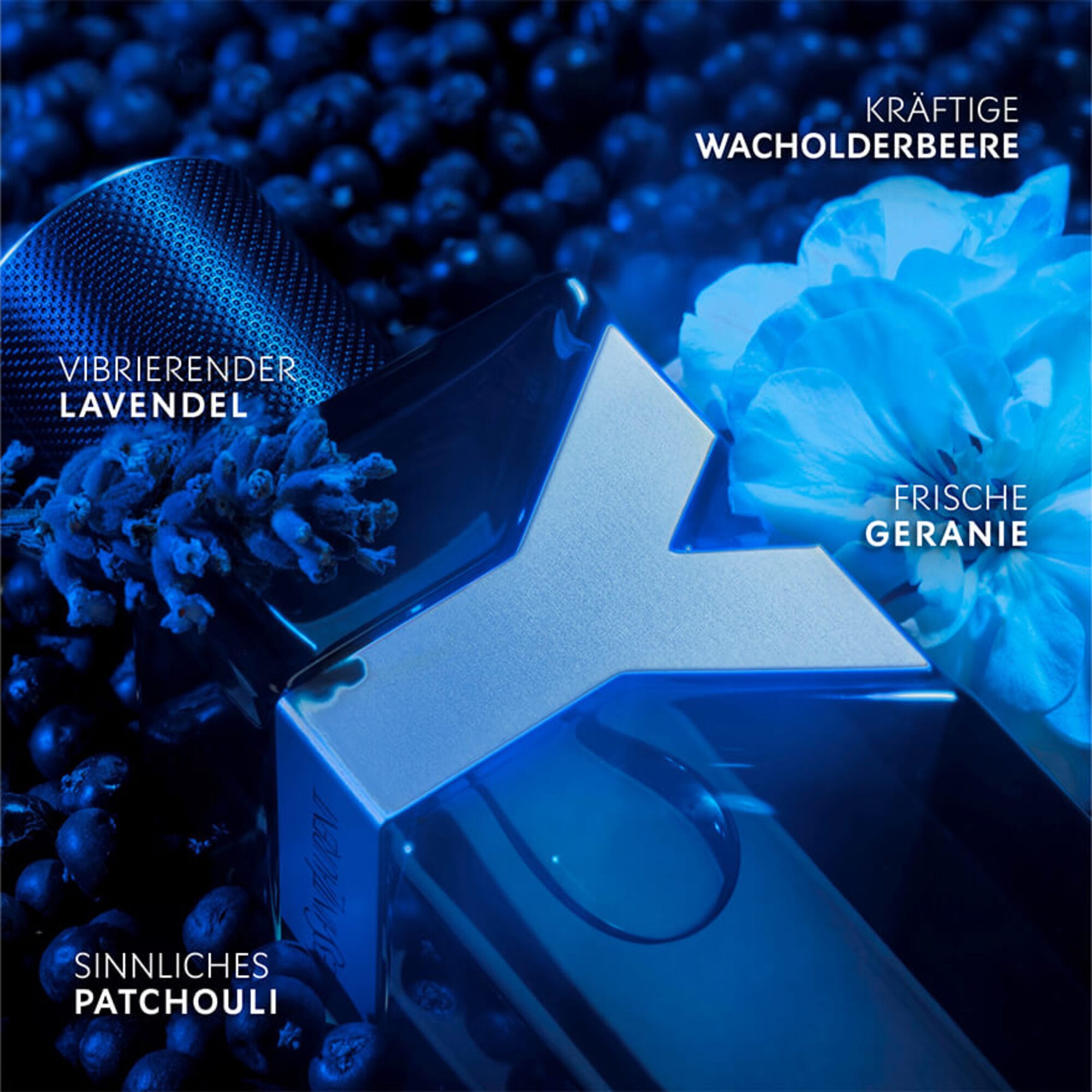 Eau de Parfum Intense