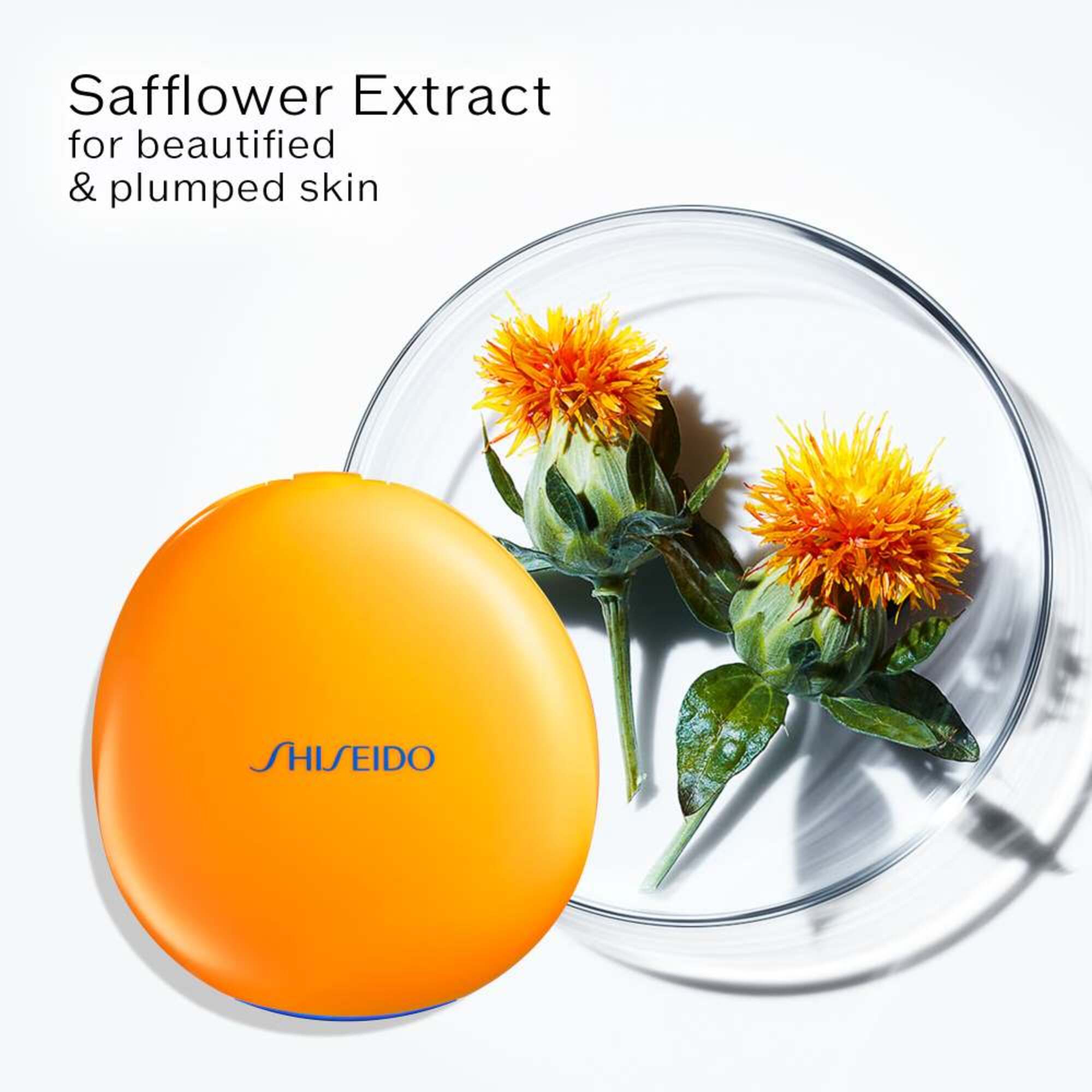 UV Tanning Compact SPF10+ Recharge