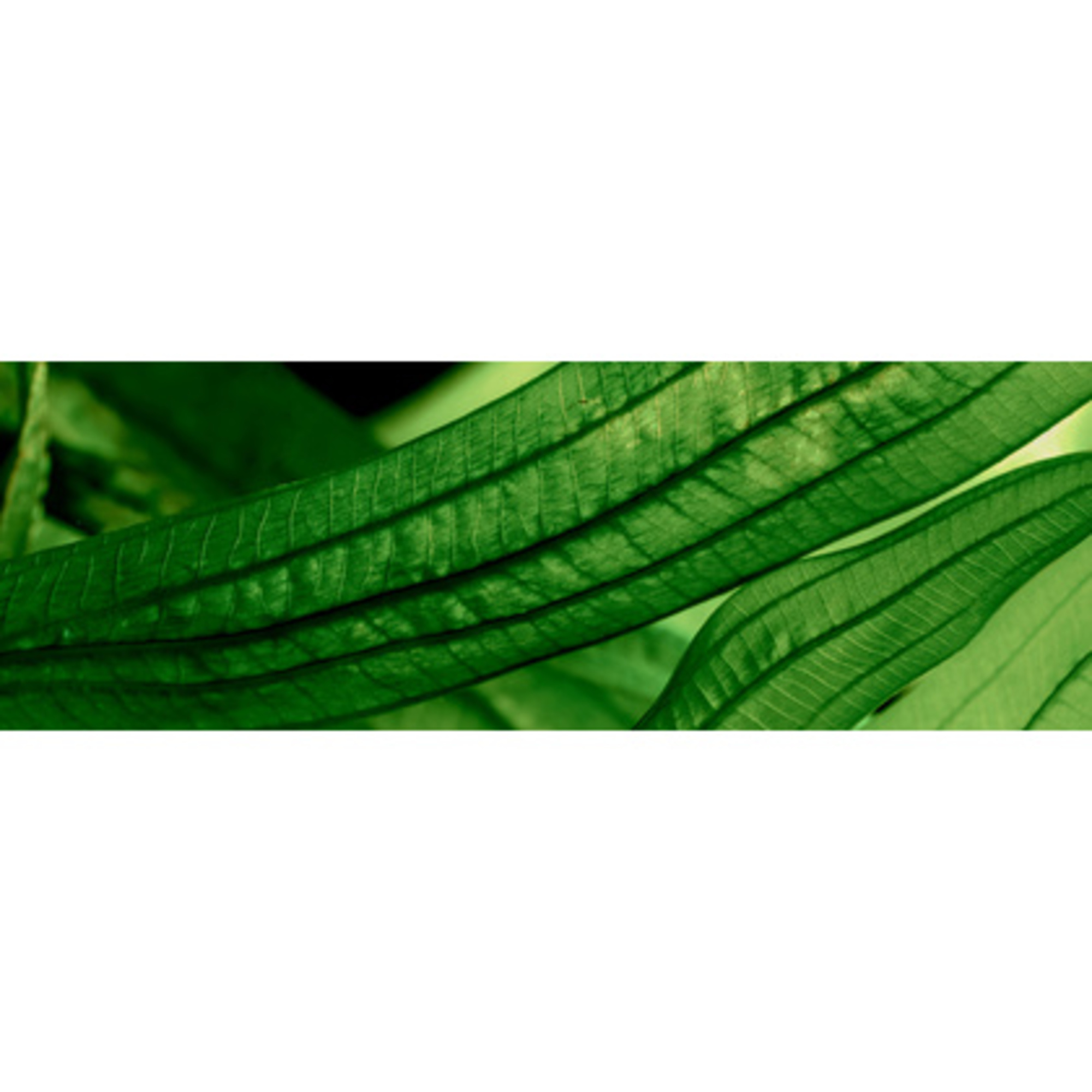 FEUCHTIGKEITSCREME, NACHTCREME, MASKE