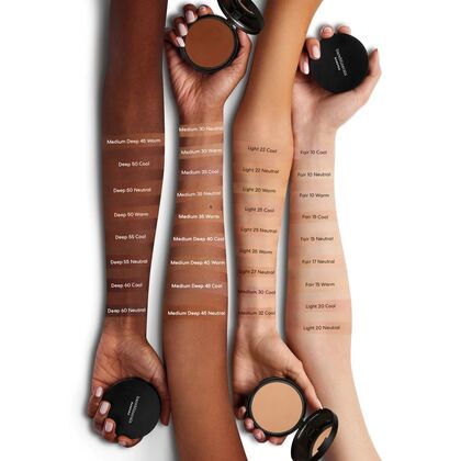 Skin Perfecting Powder Foundation