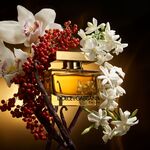 30 ML Dolce&Gabbana THE ONE FOR WOMAN undefined  2 of 6 