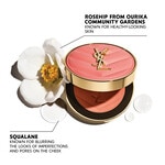 Yves Saint Laurent Make Me Blush Rouge 6 of 8 Rouge
