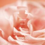 50 ML CHANEL COCO MADEMOISELLE L'EAU PRIVÉE - EAU POUR LA NUIT  3 of 3 L'EAU PRIVÉE - EAU POUR LA NUIT