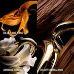 200 ML Rabanne MILLION GOLD FOR HER PARFUM Eau de Parfum - Recharge 2 of 7 Eau de Parfum - Recharge