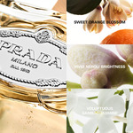 100 ML Prada Infusion de Fleur D'Oranger Eau de Parfum  3 of 3 Eau de Parfum