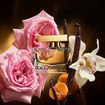 30 ML Dolce&Gabbana the one Eau de Parfum  2 of 6 Eau de Parfum