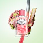 100 ML Prada Infusion Rhubarbe Eau de Parfum  4 of 4 Eau de Parfum
