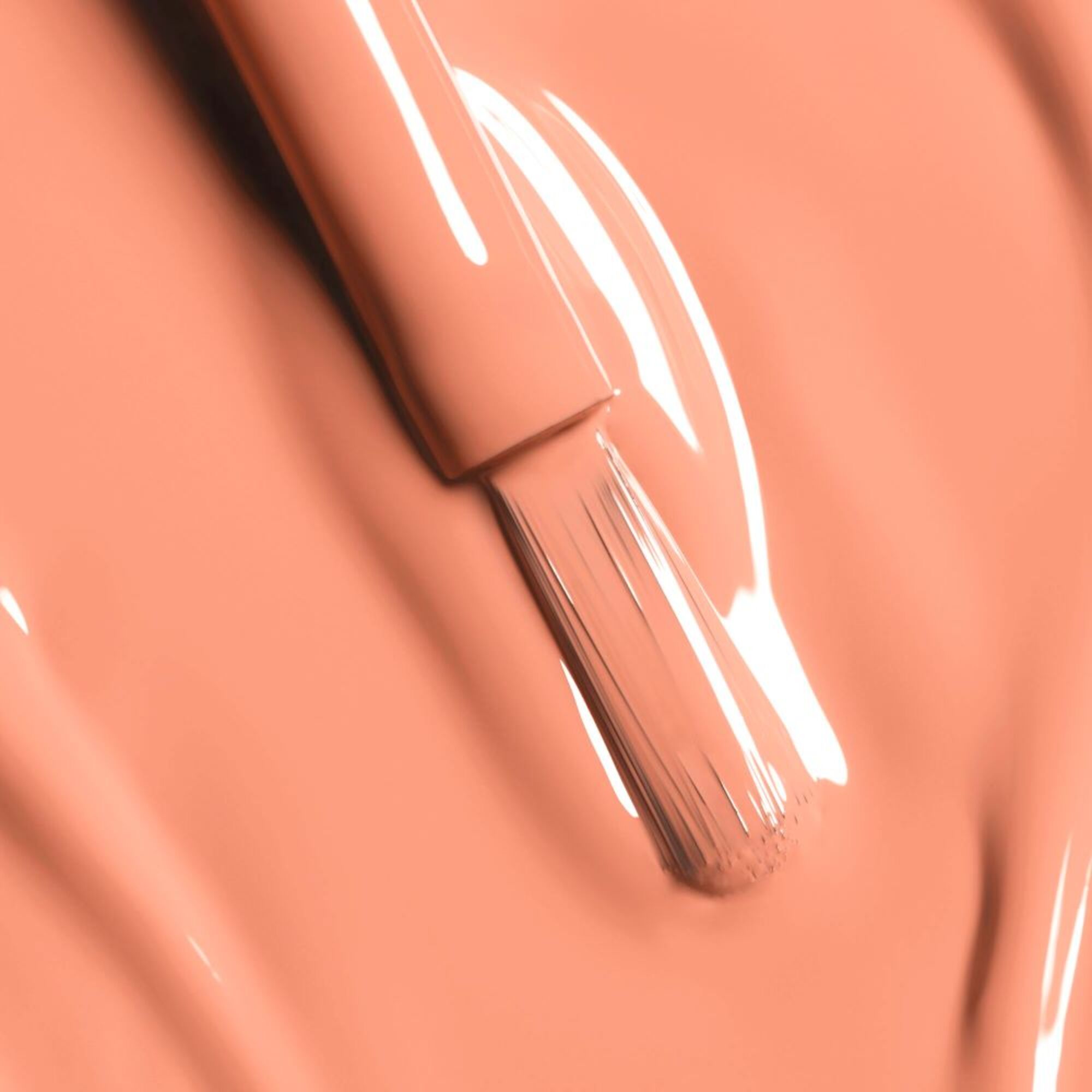 Couleur et brillance longue tenue