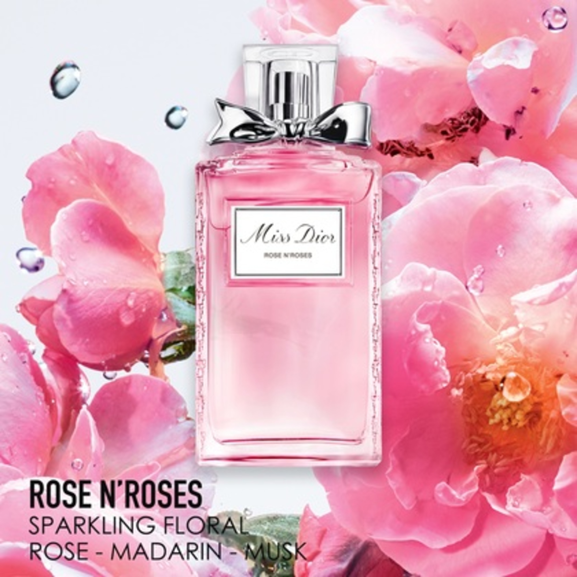 100 ML DIOR MISS DIOR ROSE N’ ROSES Eau de Toilette  1 of 3 