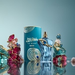 75 ML Jean Paul Gaultier Le Beau Narcisse Eau de Parfum 3 of 6 Eau de Parfum