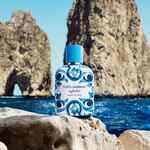 100 ML Dolce&Gabbana Light Blue Capri in Love Eau de Parfum pour Homme 7 of 7 Eau de Parfum pour Homme