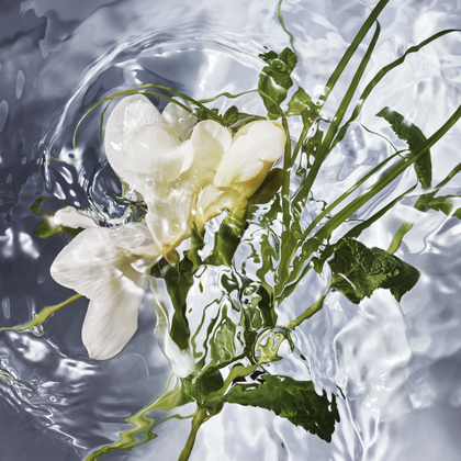Eau de Toilette