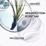 250 ML Kérastase RESISTANCE FORCE Reparierendes Shampoo für geschädigtes Haar  2 of 3 Reparierendes Shampoo für geschädigtes Haar