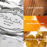 100 ML Prada Infusion De Cedre Eau de Parfum  3 of 3 Eau de Parfum
