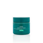 Intensive Strenghtening Masque Rich