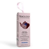 1 PCS Teaology TEA XMAS Peach Tea Box  1 of 2 