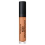 Concealer Mineral SPF 25 PA+++