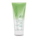 200 ML Teaology MATCHA TEA Body Lotion  1 of 1 Body Lotion