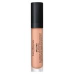 Concealer Mineral SPF 25 PA+++