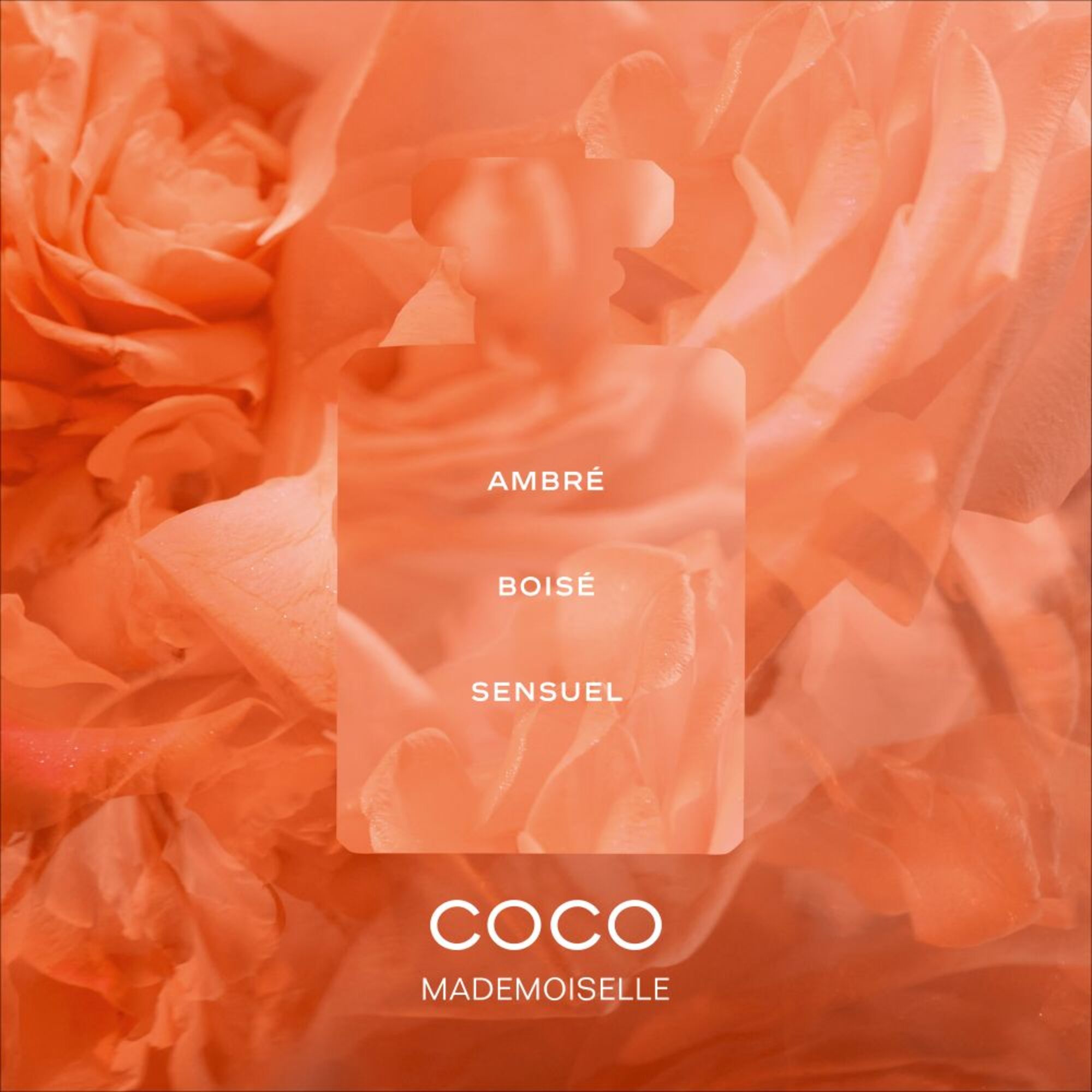 35 ML CHANEL COCO MADEMOISELLE EAU DE PARFUM INTENSE 2 of 3 EAU DE PARFUM INTENSE